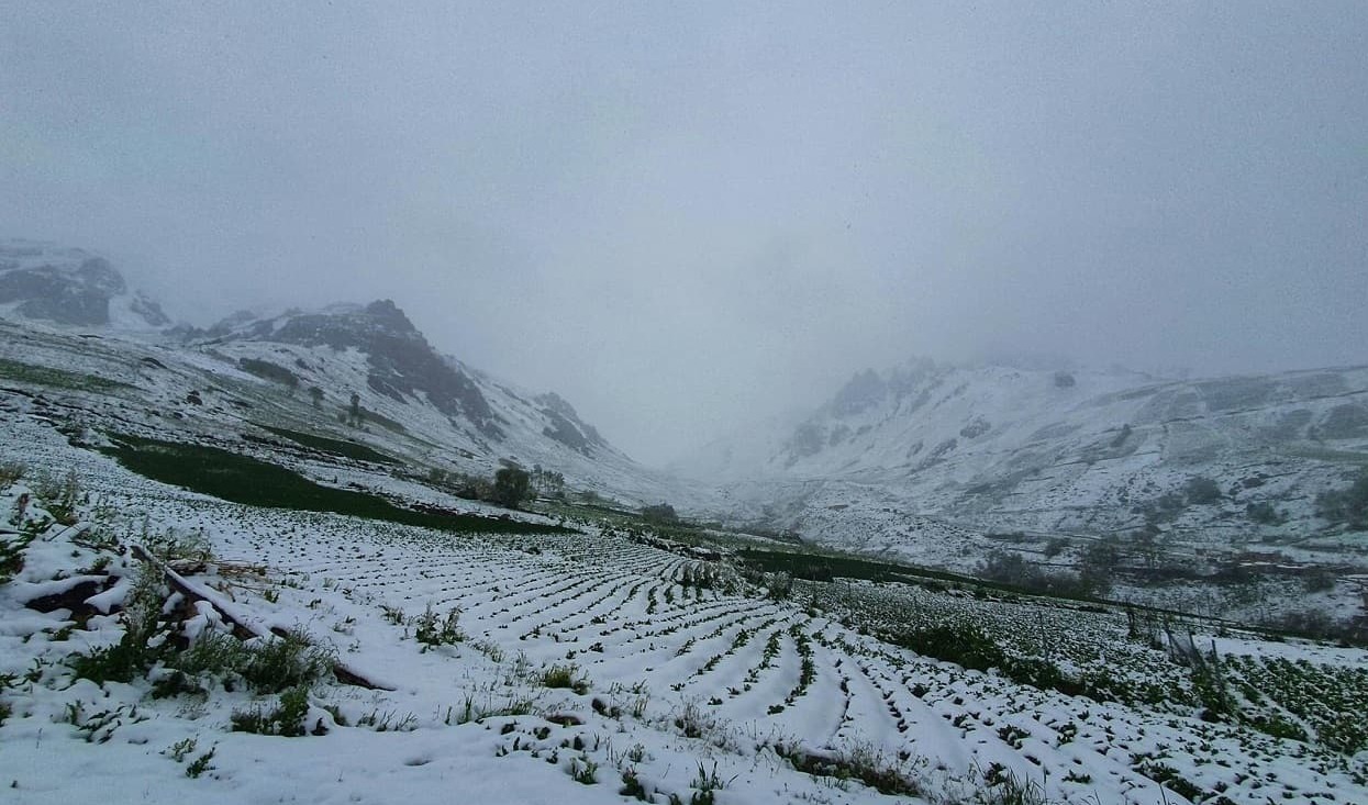 بارش برف افغانستان