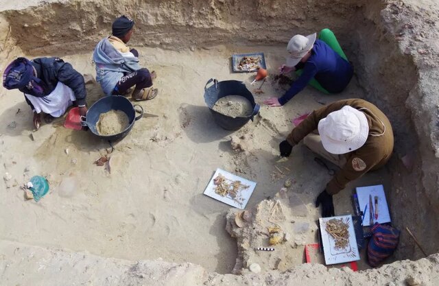 کشف گورستان باستانی حیوانات خانگی در مصر