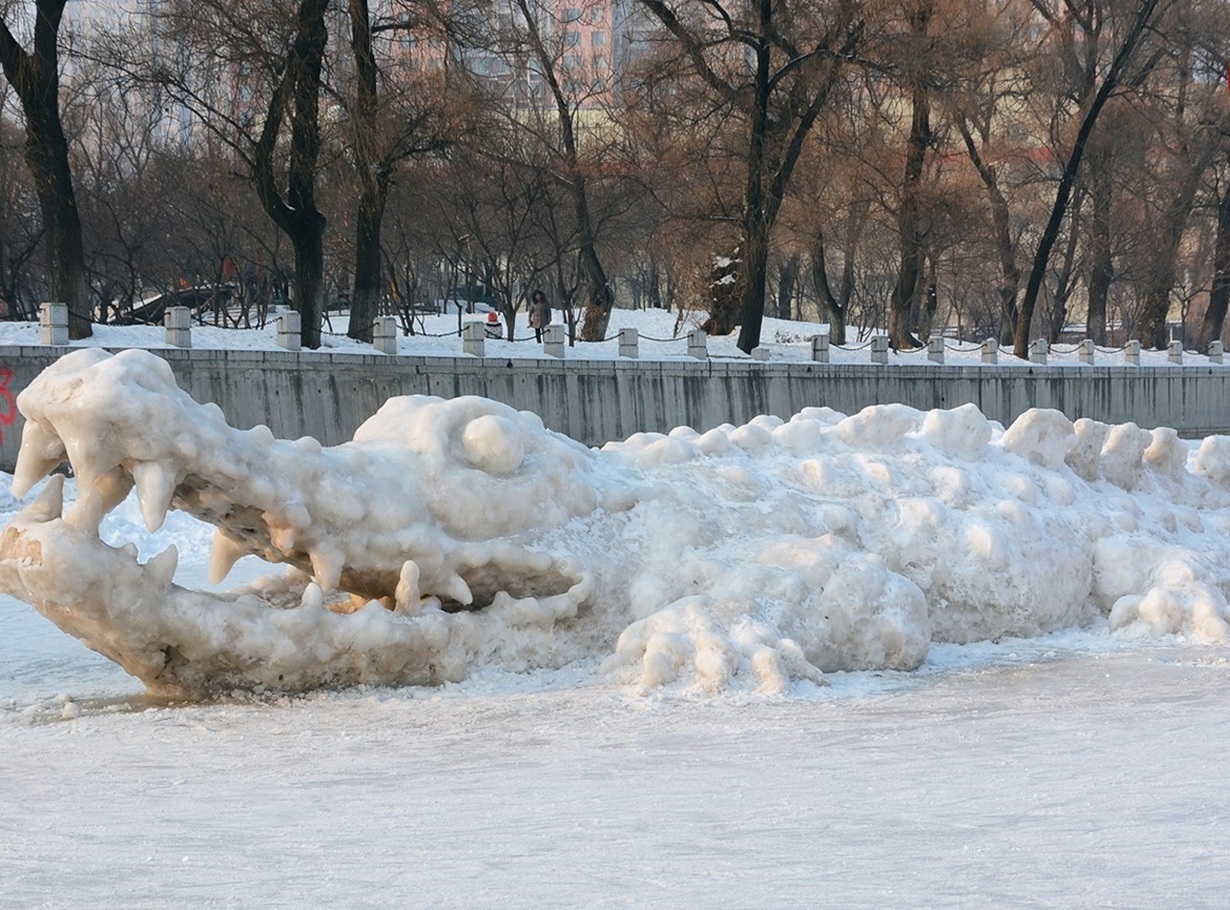 تمساح زمستان