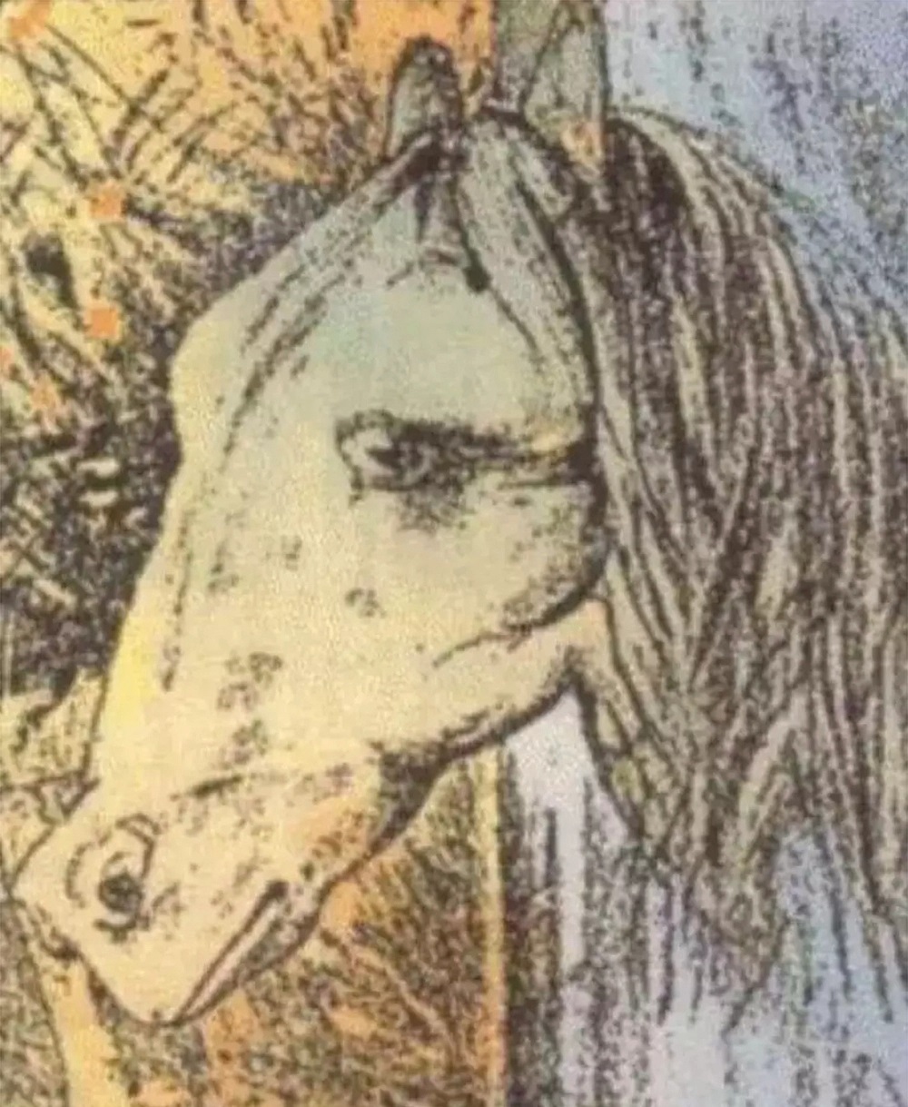 تست شخصیت : شمار در تصویر چه می بینید؟ اسب یا قورباغه؟
